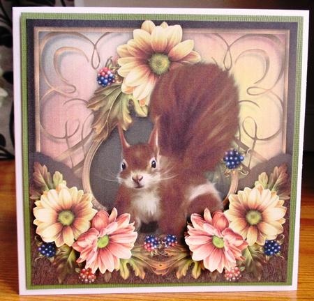 Autumn Squirrel by Johanna Lambert