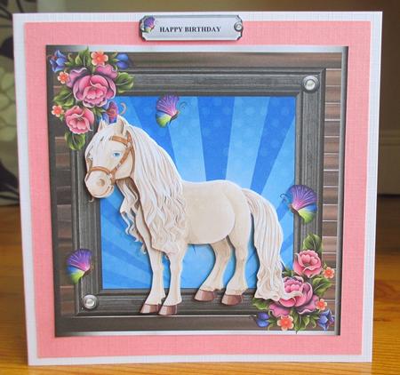Little White Pony by Johanna Lambert