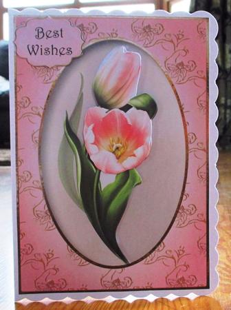 Pink Tulips by Johanna Lambert