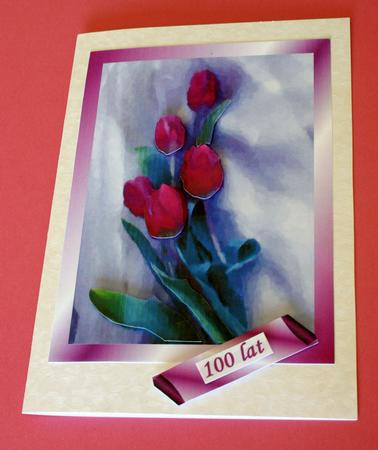 Watercolour Pink Tulip by Jolanta Januszewska