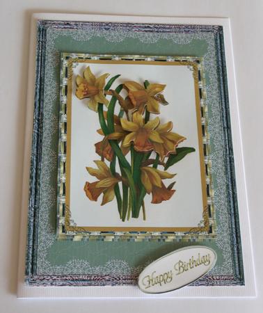 Daffodils for Mum by Jolanta Januszewska
