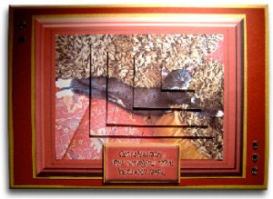 Itty Bitty Kitty I by Lisa Jo DeAngelis