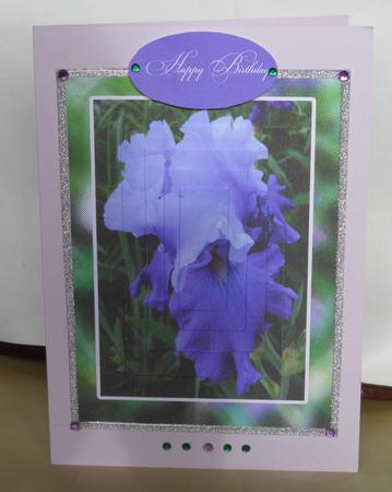 Happy Birthday Happy Birthday Mum Irises Purple by Jose Hopkins