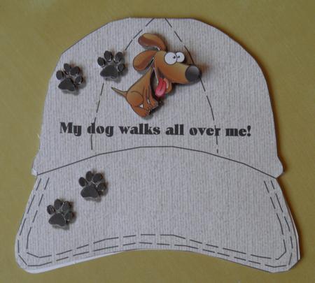 Baseball Cap Quick Card 2 by Jose Hopkins
