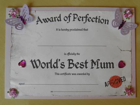 Fun Novelty Certificate by Jose Hopkins