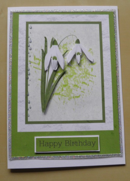 Snowdrops by Jose Hopkins