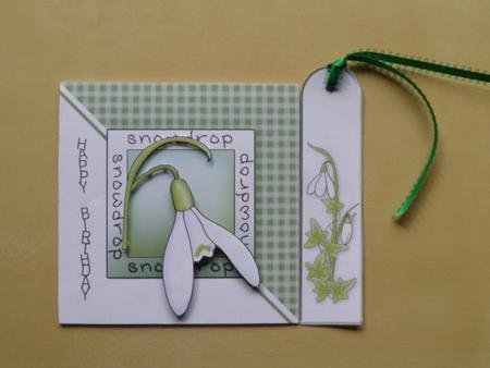 Snowdrops Quick Card with Decoupage by Jose Hopkins