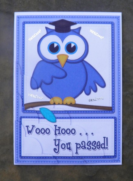 A5 Wise Owl Exam Congrats Felties Scallop Side Stacker by Jose Hopkins