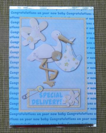 Special Delivery! - New Baby Boy Ethnic Card Front by Jose Hopkins
