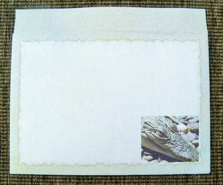 Don't Mess with Me Envelope by Jose Hopkins