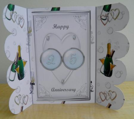 25th Anniversary Gatefold by Jose Hopkins