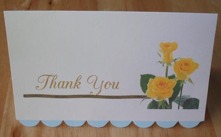 Thank You Yellow Rose by Jose Hopkins