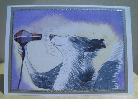 Border Collie Dog Drying Her Fur by Jose Hopkins
