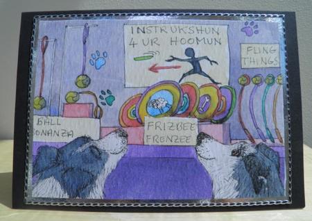 Border Collie Dogs Window Shopping for Throwing Things by Jose Hopkins
