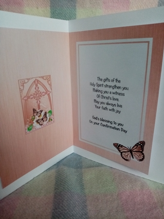 Fancy Cross Butterfly & Wild Roses Pyramid Matching Insert by Josephine OByrne