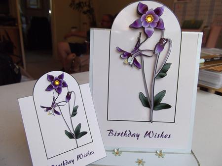 Aquilegia by Joy Chappelle