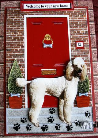 Standard Poodle Red Door Scene by Joy Comstock