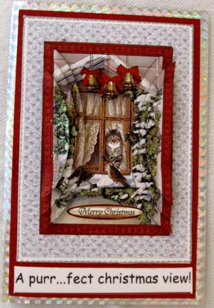 A Purr - fect Christmas View! by Joy Comstock