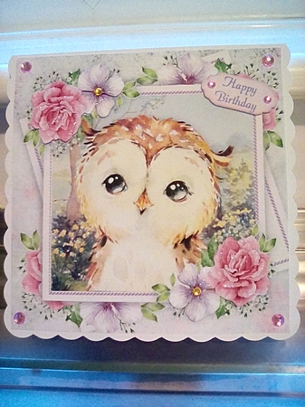 Beautiful Owl With Pink Roses 8x8 by Joyce Edwards