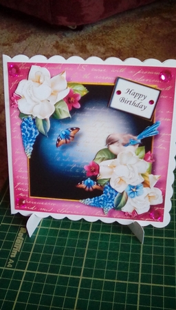 Gorgeous Gardenia & Fairy Wren by Joyce Edwards