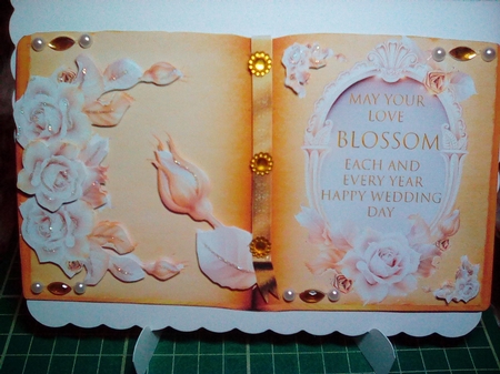 Blossoming Book Of Roses #2 by Joyce Edwards