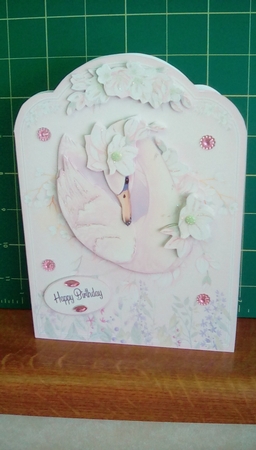 SWAN A5 Shaped Card Kit-2 by Joyce Edwards