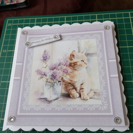 Lovely Kitty In The Flowers - Card 4 by Joyce Edwards