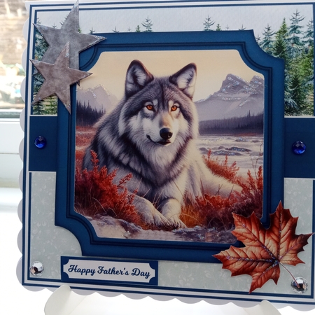 CANADIAN WILDLIFE by Joyce Edwards