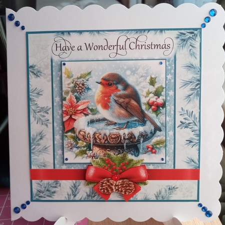 Cold and Frosty Robin by Joyce Edwards