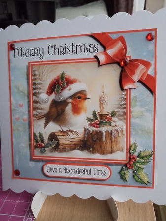 Robin Christmas Time by Joyce Edwards