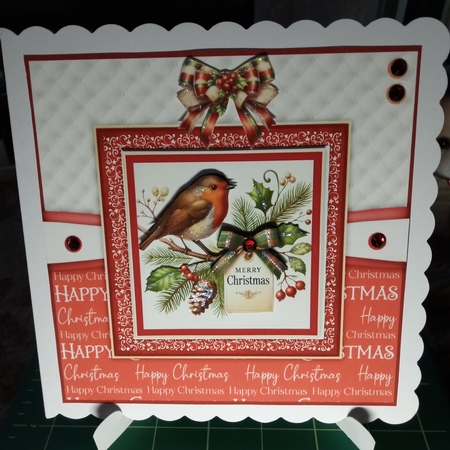 A Merry Christmas Robin by Joyce Edwards