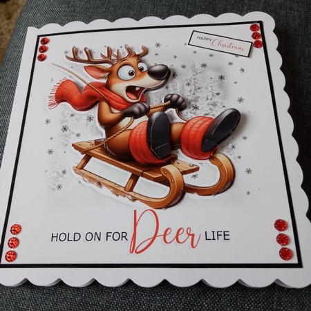 Hold On For Deer Life! by Joyce Edwards