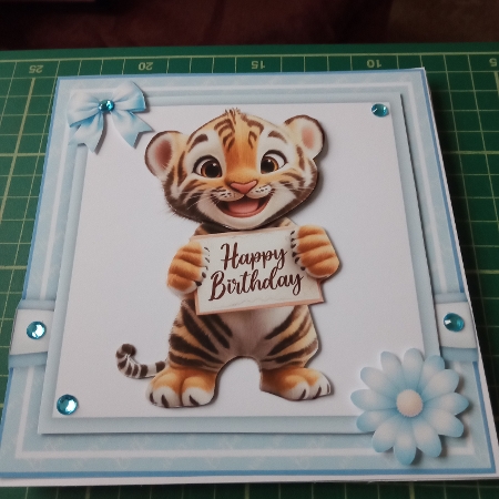 Happy Birthday Tiger by Joyce Edwards