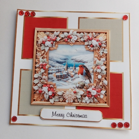 framed robin 2 by Joyce Edwards