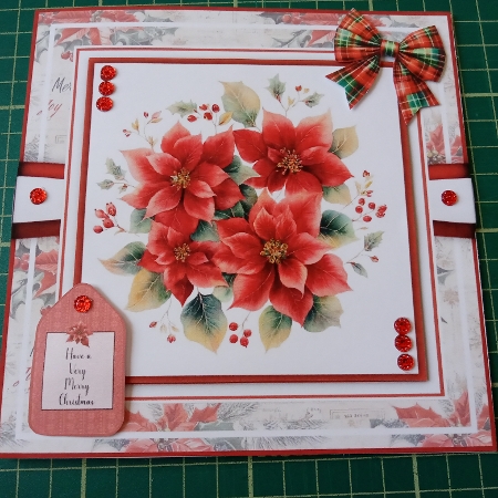 Christmas Flowers by Joyce Edwards