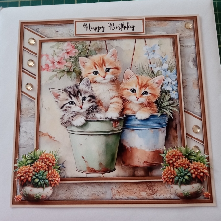 Kittens in Flower Pots - Mini Kit 6x6 by Joyce Edwards