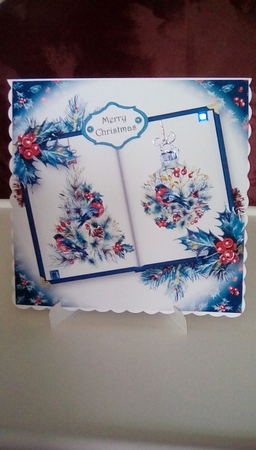 Open Book Christmas - The Bird & The Bauble 8x8 by Joyce Edwards
