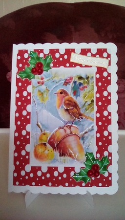 Robin in the snow with pyramids and holly A5 in red snow frame by Joyce Edwards