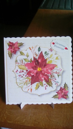 White & Gold - Scarlet Poinsettia by Joyce Edwards