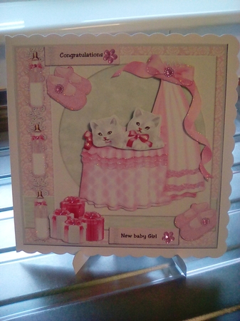 New Baby Girl Mini Kit by Joyce Edwards