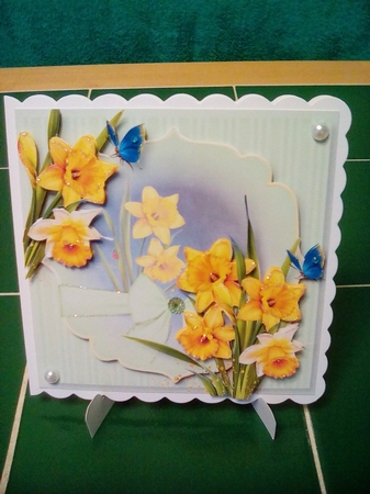 Floral Beauty Bumper Kit 1 by Joyce Edwards