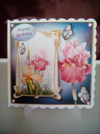 Art Nouveau Blush Iris 8x8 by Joyce Edwards