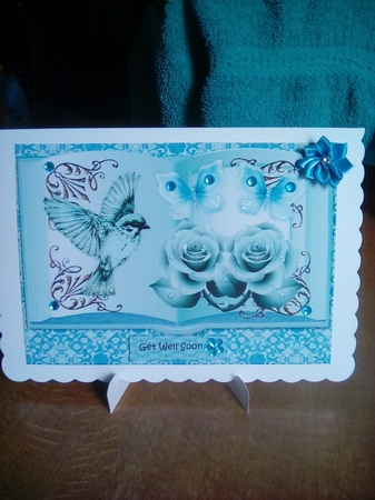 Book Bird & Roses by Joyce Edwards