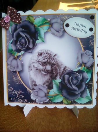 Snow Leopard & Charcoal Roses 8x8 by Joyce Edwards