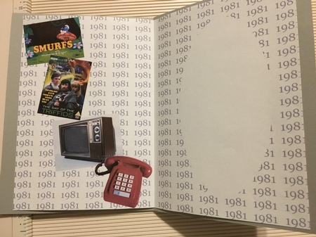Insert for Birth Year 1981 - Male 1092637_3656 by Joyce Perkins