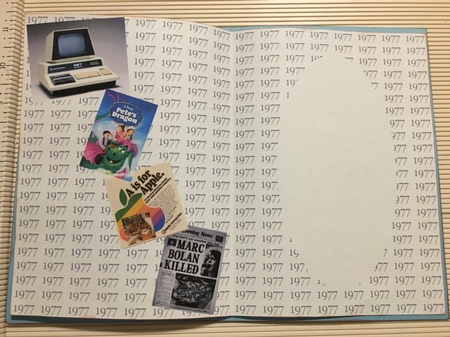 Insert for Birth Year 1977 - male by Joyce Perkins