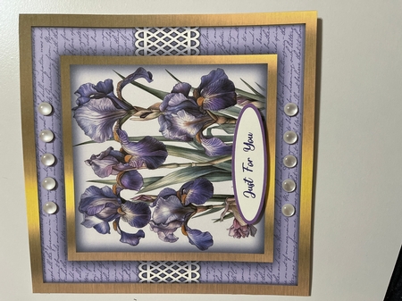 8x8 Mini Kit, Beautiful Irises on Script by Joyce Perkins