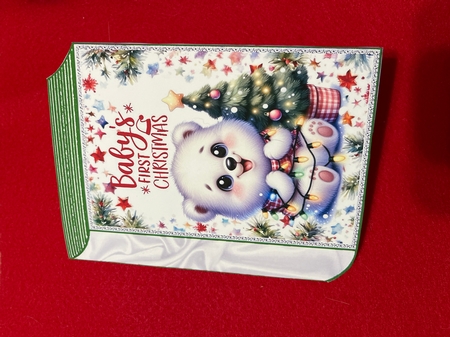 Cute Baby Polar Bear (BABYS FIRST) Folded Book (TWO) by Joyce Perkins