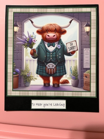 sorry highland coo 2 by Joyce Perkins