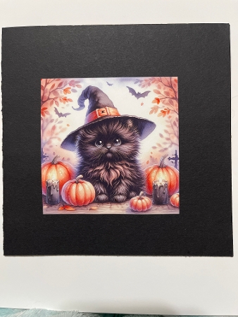 Kitten with Pumpkin by Joyce Perkins